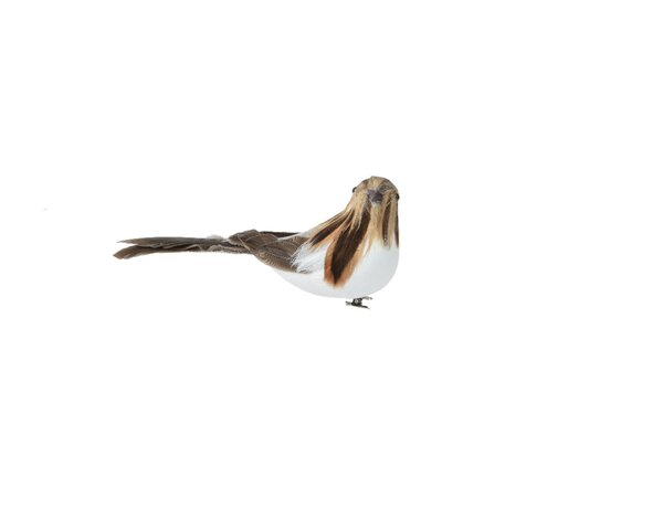 Vogel op clip foam 6 cm bruin met licht bruine kop