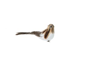 Vogel op clip foam 6 cm bruin met licht bruine kop